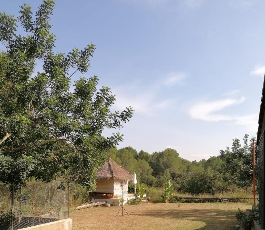 Chilliman & Mas Miro Biofarm Guest House Catllar Bagian luar foto