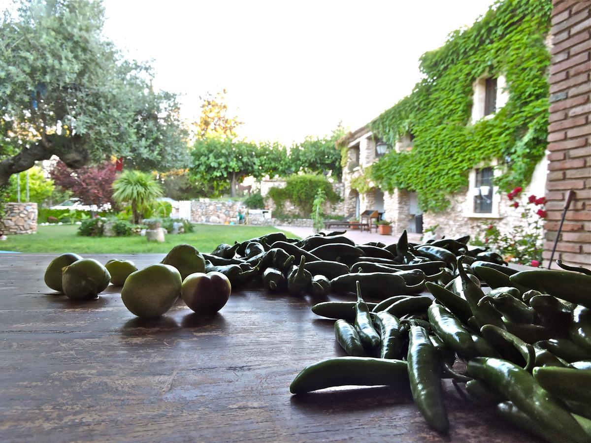 Chilliman & Mas Miro Biofarm Guest House Catllar Ruang foto
